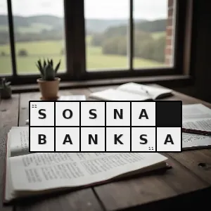 Hasło krzyżówkowe banka pinus banksiana gatunek drzewa iglastego z rodziny sosnowatych - sosna banksa – rozwiązanie, synonimy, podpowiedzi i definicje krzyżówkowe